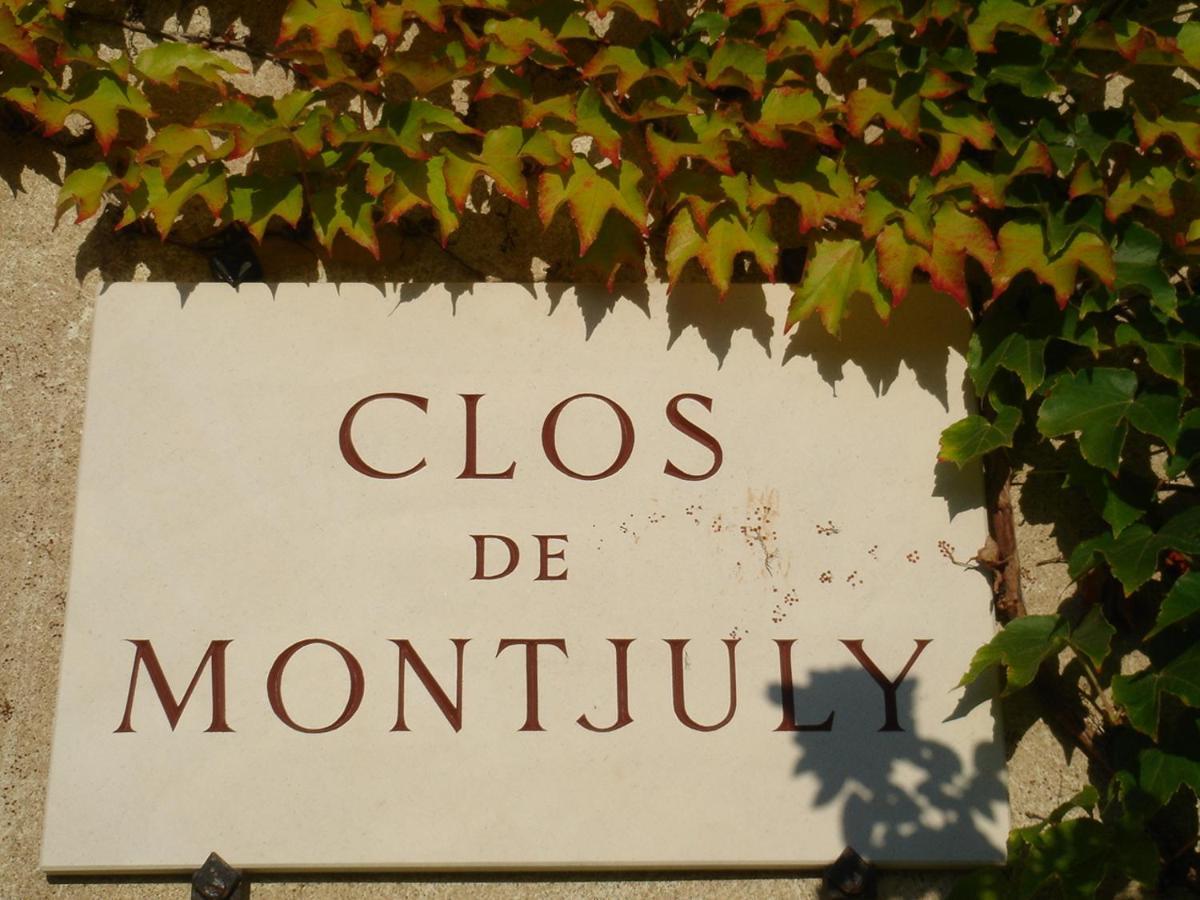 Clos De Mont July, Architecture Xviiie Au Coeur De La Nature Ceyzeriat Buitenkant foto