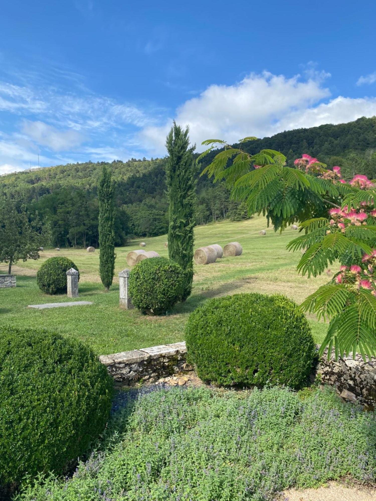 Clos De Mont July, Architecture Xviiie Au Coeur De La Nature Ceyzeriat Buitenkant foto